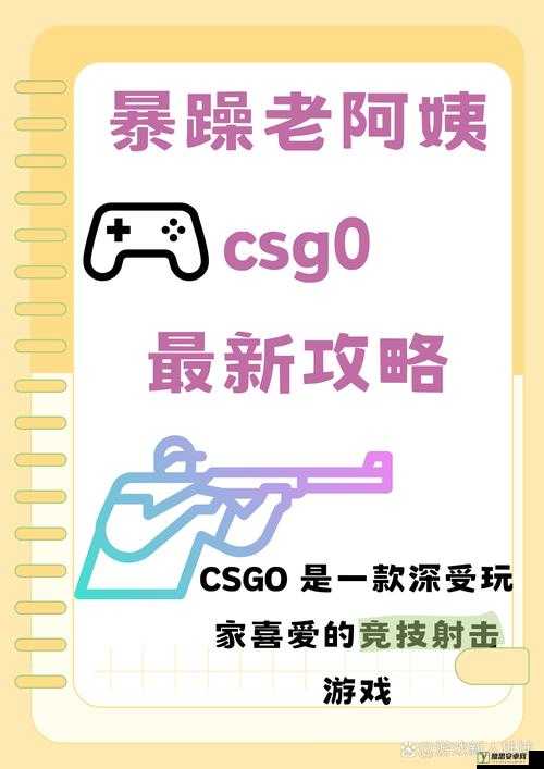 暴躁老外玩 CSGO 之精彩对战过程全记录